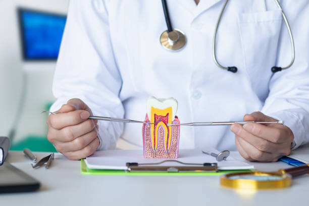 Best Emergency Broken Tooth Repair in Chula Vista, TX